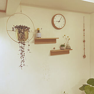 時計/無印良品 壁に付けられる家具/ハンギングプランター/ハートカズラ/グリーン...などのインテリア実例 - 2022-06-30 21:08:28