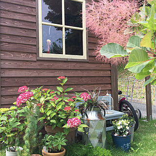 キッチン/ホクシャ/こどものいる暮らし/花のある暮らし/小屋のある庭...などのインテリア実例 - 2018-05-30 10:51:29