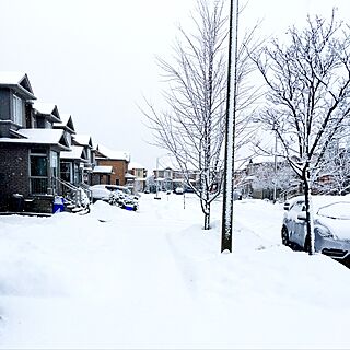 snow coming/Torontoのインテリア実例 - 2016-12-30 05:21:25