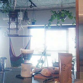 キッチン/リノベーション/indoor greenのインテリア実例 - 2015-05-24 08:41:39