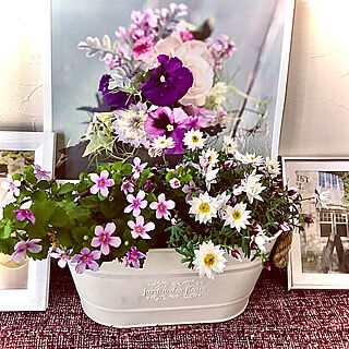 お花のある暮らし+..・* ❁/二月の花のカレンダー/いいね♪いつもありがとうございます❤️/みなさんの優しさに感謝❤️/見て頂きありがとうございます⑅︎◡̈︎*...などのインテリア実例 - 2021-02-07 07:46:51
