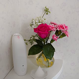 バス/トイレ/花のある暮らし/いいね！ありがとうございます♪/見てくださってありがとうございます/盛り塩してます...などのインテリア実例 - 2023-05-26 12:24:06