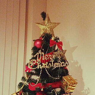 リビング/クリスマスツリーのインテリア実例 - 2016-12-09 00:40:29