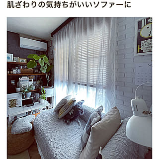 用途いろいろ/ソファカバー/IKEA OFELA/IKEA/リビング...などのインテリア実例 - 2023-06-24 21:57:56