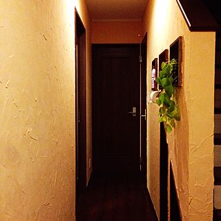 玄関/入り口/雑。/変わらないけど…/DIYのインテリア実例 - 2015-01-15 18:48:41