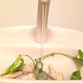 バス/トイレ/観葉植物/カエル/植物のインテリア実例 - 2014-02-17 09:25:18