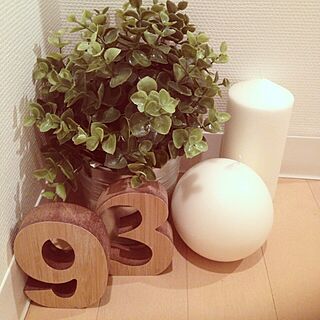 玄関/入り口/3COINS/IKEA/観葉植物/植物のインテリア実例 - 2013-11-30 23:09:38