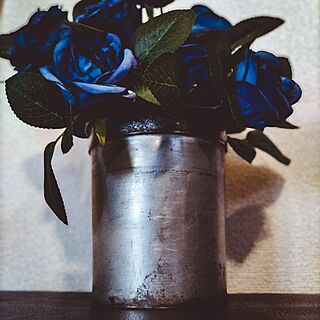 キッチン/青い薔薇のインテリア実例 - 2023-11-06 13:52:43