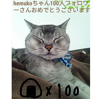 フォロワーさん100人おめでとう!!/富士山の上でおにぎりを/hemukoちゃん♡のインテリア実例 - 2016-08-21 05:40:10