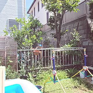 部屋全体/庭/賃貸/狭小住宅/植物のある暮らし...などのインテリア実例 - 2017-07-11 14:06:38