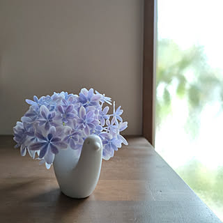 万華鏡 紫陽花のおしゃれなアレンジ 飾り方のインテリア実例 Roomclip ルームクリップ