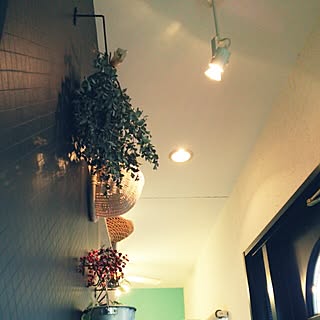 玄関/入り口/照明/green/植物/店舗付き住宅＊店舗部分のインテリア実例 - 2015-01-10 09:57:37