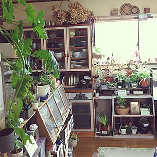 部屋全体/観葉植物/多肉植物/空き箱リメイク/端材リメイク...などのインテリア実例 - 2016-09-24 06:43:24