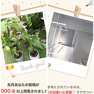 人工芝の庭/人工芝/ダイソー/RCに感謝♡/記録用なのでコメントお気遣いなく♡...などのインテリア実例 - 2022-10-07 09:41:37