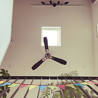 壁/天井/天井/観葉植物のインテリア実例 - 2017-04-20 12:08:25
