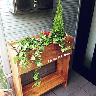 棚/母の日に♡/端材でDIY/DIY/植物のインテリア実例 - 2015-05-08 18:32:37