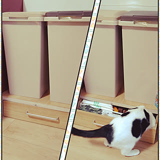 DIY/ねこのいる日常/猫ばからでご免なさい(ФωФ)/猫と暮らす家/姉妹猫...などのインテリア実例 - 2022-10-27 12:59:15