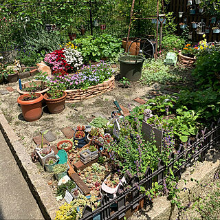 庭/ガーデニング/お花を楽しむ/ポタジェガーデンを目指して/収穫も楽しめるのインテリア実例 - 2021-05-09 13:53:58