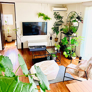 観葉植物のある暮らし/観葉植物/ボタニカルライフ/緑のある暮らし/住友林業の家...などのインテリア実例 - 2023-06-26 09:02:26