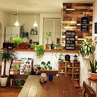 観葉植物 フラワースタンドのおしゃれなアレンジ 飾り方のインテリア実例 Roomclip ルームクリップ