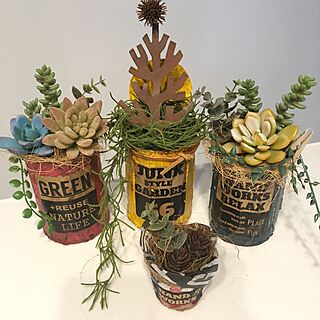 キッチン/寄せ植え/多肉植物/フェイクグリーン/JUNK...などのインテリア実例 - 2015-12-11 15:15:13