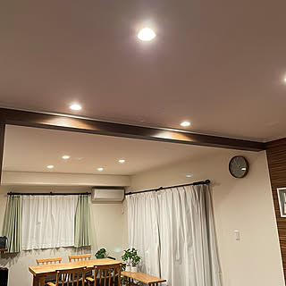 ダウンライト 調光 LED/Panasonic/住友そっくりさん/観葉植物/壁/天井のインテリア実例 - 2021-10-18 21:29:55