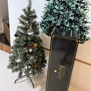 クリスマスツリー120cm/クリスマスツリー/クリスマスのインテリア実例 - 2022-12-10 19:52:11