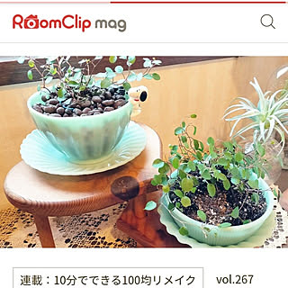 棚/グリーンのある暮らし/再利用/のんびり暮らす/RoomClip mag...などのインテリア実例 - 2021-05-11 19:52:27