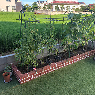 システムファーム（組立て式花壇・菜園） 60cm×90cm×3段 セット