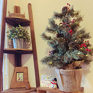 クリスマスツリー/niko and.../棚DIY/漆喰壁DIY/アートのある暮らし...などのインテリア実例 - 2019-12-01 12:49:31