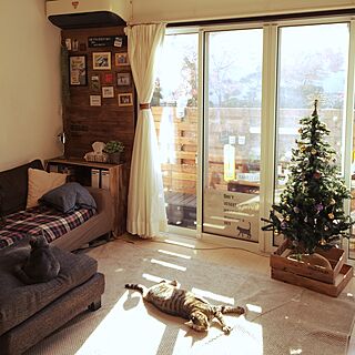 部屋全体/クリスマスツリー/子沢山インテリア/かっこ良くしたい/板壁...などのインテリア実例 - 2014-11-28 11:02:25