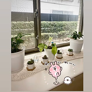 リビング/RoomClipに出会えて良かった/ポトス植え替えました/RoomClipの出逢いに感謝♡/見て頂きありがとうございます⑅︎◡̈︎*...などのインテリア実例 - 2023-08-12 16:19:17