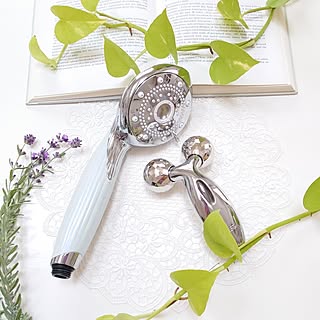 リファカラット （リファカラット（ReFa CARAT） 美顔ローラー
