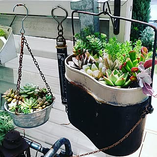 壁/天井/ＲＣ愛知/Instagramはじめました。/多肉寄せ植え/宝物✨...などのインテリア実例 - 2016-05-15 18:08:42