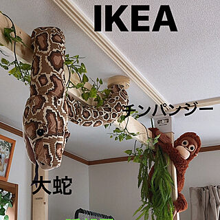 IKEA♡/お家で楽しく♪*ﾟ/いいね、フォロー本当に感謝です♡/感謝｡.:*ฺ✤ฺ/孫部屋...などのインテリア実例 - 2020-08-02 21:16:45