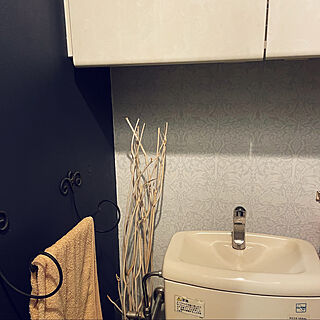 DIY/壁紙屋本舗/ペイント壁/バス/トイレのインテリア実例 - 2022-11-07 15:20:11