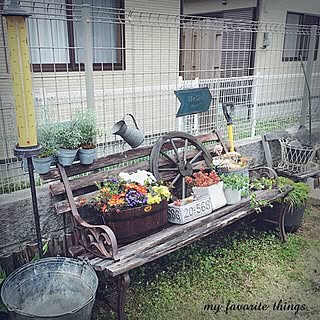 玄関/入り口/寄せ植え/ベンチ/多肉植物/いつもいいね！ありがとうございます♪...などのインテリア実例 - 2017-04-05 15:40:49