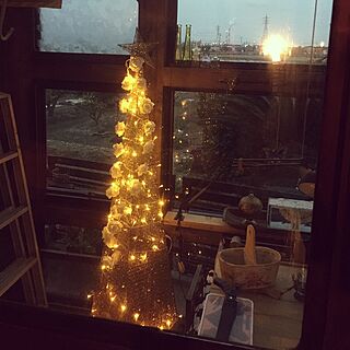 リビング/クリスマスツリー/サンルームのインテリア実例 - 2015-12-06 17:05:06