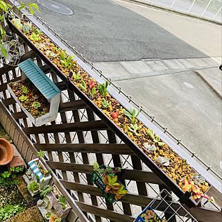 雨樋でプランターのインテリア実例 Roomclip ルームクリップ