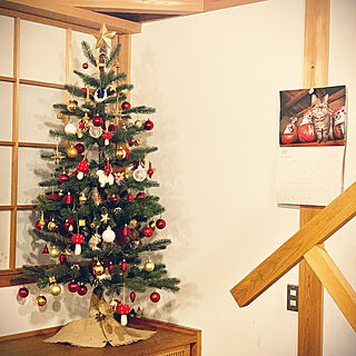 猫カレンダー/IKEA/クリスマスツリー/違和感/和風クリスマス...などのインテリア実例 - 2022-11-20 20:37:08