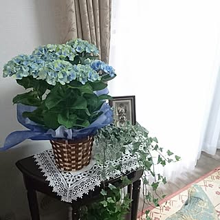 机/観葉植物/グリーンのある暮らし/みどりのある暮らし/花のある暮らし...などのインテリア実例 - 2017-06-21 19:55:11