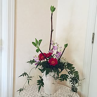 棚/ジャスミン/芽出し紫陽花/花のある暮らし/植物のある暮らしのインテリア実例 - 2017-02-11 11:04:46