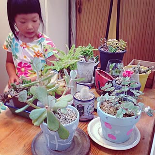 玄関/入り口/観葉植物/こども/ガーデニング/garden...などのインテリア実例 - 2015-07-17 08:19:13