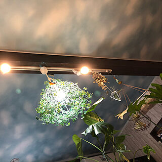 キッチン/LEDライト/スポットライト/シーリングライト/観葉植物...などのインテリア実例 - 2018-05-30 14:18:29