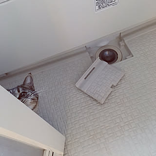 mikomaruさんの実例写真