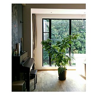 リビング/グリーン/植物/大きな窓/無垢材...などのインテリア実例 - 2017-05-23 05:52:37
