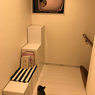 壁/天井/ねこのきもち/ねこのいる日常/猫と暮らす/IKEAのインテリア実例 - 2018-12-13 22:54:22