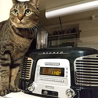リビング/ラジオ/CDラジオ/ねこが好き/猫...などのインテリア実例 - 2021-10-19 16:18:45
