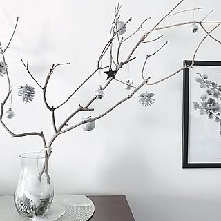 庭の木の枝のインテリア実例 Roomclip ルームクリップ