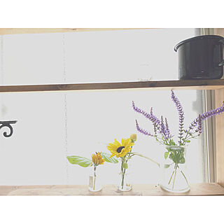 キッチン/花を飾るのインテリア実例 - 2018-07-04 17:31:38